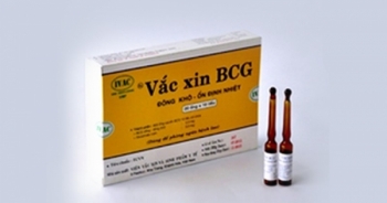 800 y bác sĩ Việt Nam sẽ tiêm vắc xin lao để thử nghiệm chống Covid-19