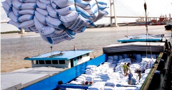 Bộ Tài chính đề nghị Bộ Công an điều tra sai phạm trong xuất khẩu 400.000 tấn gạo
