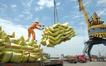 Bộ Công thương đề nghị xuất khẩu thóc nếp, gạo nếp, tấm nếp thực hiện theo nhu cầu thị trường