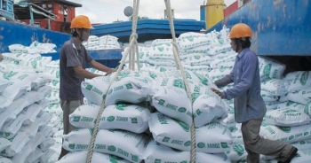 Chính thức thanh tra quản lý nhà nước về xuất khẩu gạo