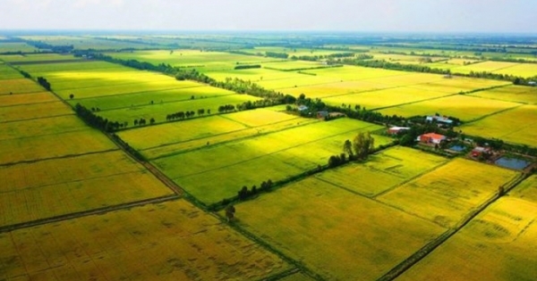 Chính phủ đề xuất miễn khoảng 7.500 tỷ đồng/năm thuế đất sử dụng đất nông nghiệp
