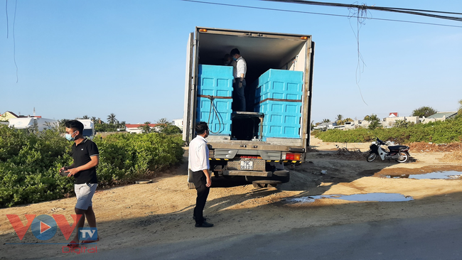 Một lô hàng của Công ty Linh Phát được đóng trong thùng composite được tập kết tại bãi đất trống cách nhà xưởng khoảng 200m (ảnh chụp ngày 22/2/2021). Ảnh: VOVTV
