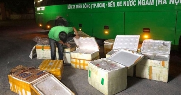 Nghệ An: Bắt giữ gần 1 tấn thực phẩm bẩn