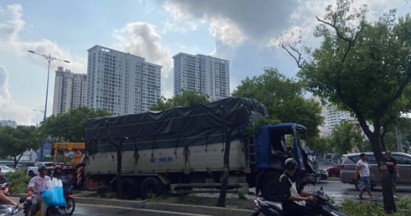 Xe tải tông gãy loạt cây xanh trên đại lộ Võ Văn Kiệt