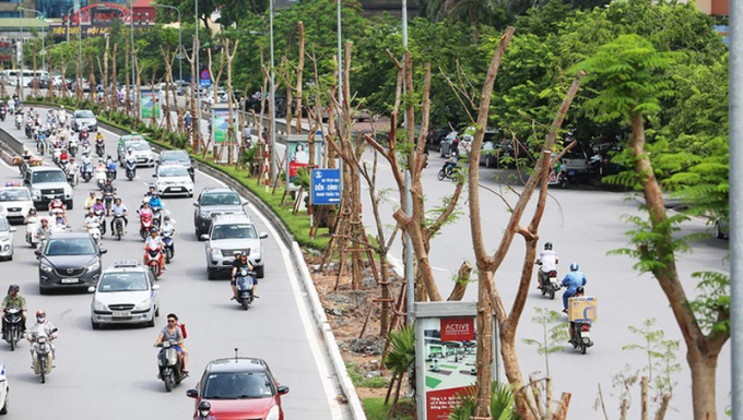 Kế hoạch chặt hạ và thay thế 6.700 cây xanh trên 190 tuyến phố của UBND thành phố Hà Nội cũng gây nhiều ý kiến trái chiều.
