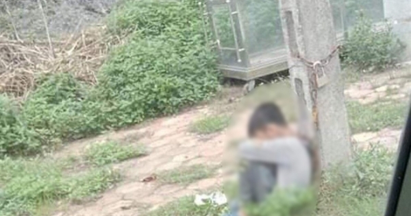 Phẫn nộ với hình ảnh cháu trai 10 tuổi bị bố xích vào cột điện ở Lạng Sơn