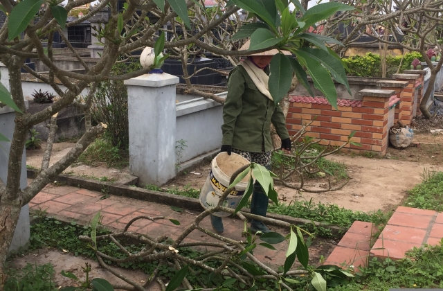 Hải Phòng: Khẩn trương truy bắt kẻ đập phá mộ tại nghĩa trang Hà Phương