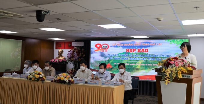 Phó Chủ tịch UBND tỉnh Gia Lai Nguyễn Thị Thanh Lịch phát biểu tại cuộc họp
