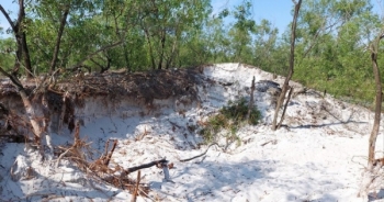 Khai thác cát trái phép trong rừng phòng hộ: Ngang nhiên như chốn... không người