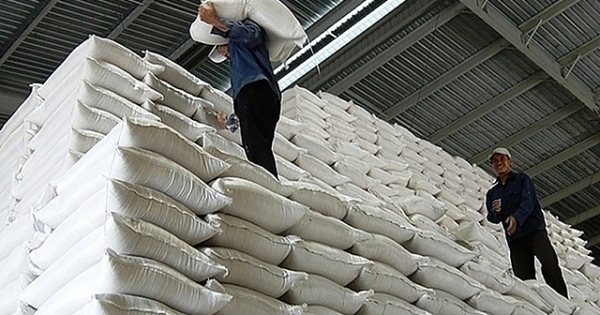 Xuất cấp hơn 484 tấn gạo cho tỉnh Hà Giang