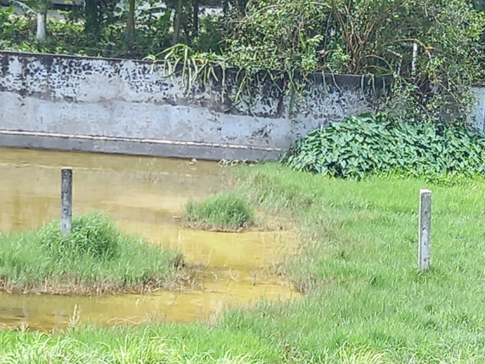 Trạm trộn xả nước thải và cặn bã bê tông thẳng xuống kênh tưới tiêu Bá Liễu – Trại Vực.