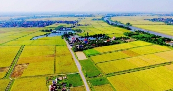 Long An được chuyển mục đích sử dụng 65 ha đất tại huyện Đức Hòa