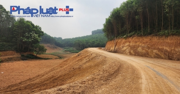 Phú Thọ: Hàng chục nghìn m2 đất Lâm nghiệp bị đào bới chưa rõ nguyên nhân