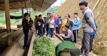 Đào tạo nghề lao động nông thôn để phát triển nguồn nhân lực ở huyện Bắc Quang
