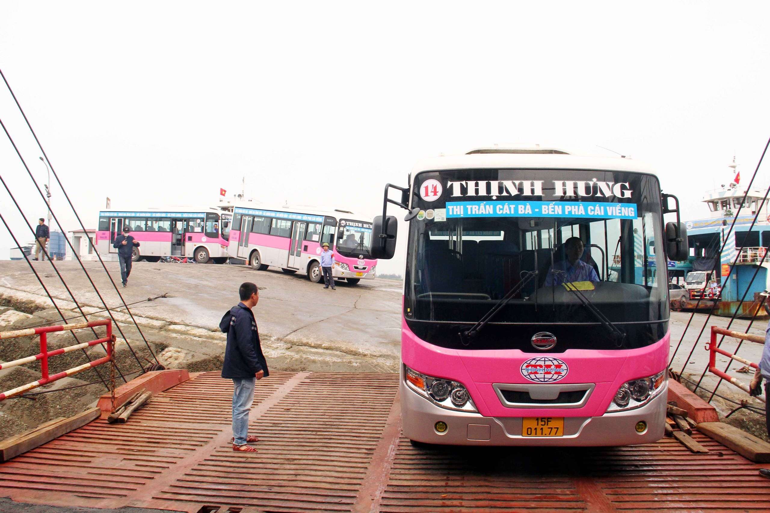 tuyến xe bus số 14 xuất phát từ bến phà Cái Viềng - xã Phù Long - xã Hiền Hào - xã Xuân Đám - ngã ba Áng Sỏi - thị trấn Cát Bà