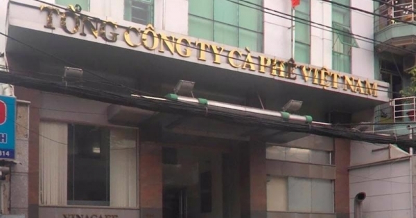 Tổng Công ty Cà phê Việt Nam tiếp tục tìm giải pháp tháo gỡ khó khăn
