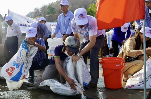 Bình Thuận thả hơn 1 triệu con tôm, cá giống