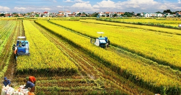 Việt Nam là nhà cung cấp lương thực trách nhiệm, minh bạch, bền vững