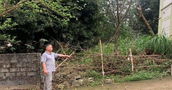 Phú Thọ: Xã Đồng Trung đề nghị huyện hướng dẫn quy trình cưỡng chế đường công cộng bị chiếm dụng