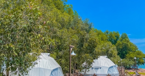 Bài 3 - Du lịch cắm trại ở hồ Trị An: Sẽ có cơ chế phát triển