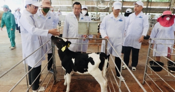 Tây Ninh "trải thảm đỏ" thu hút đầu tư vào nông nghiệp công nghệ từ châu Âu