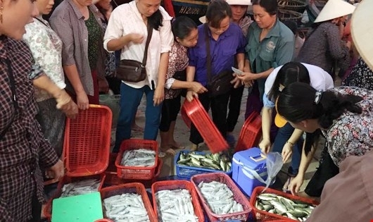 Tuần lễ nông sản an toàn: Thiếu vắng hải sản 4 tỉnh miền Trung