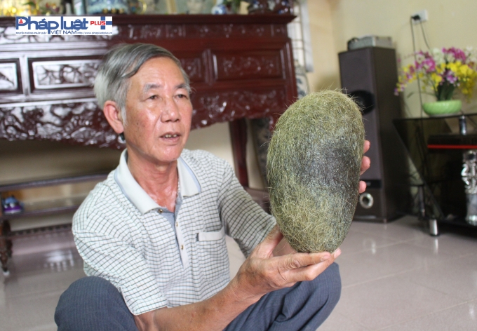 Hà Nội: Làng quê rúng động vì “Cát lợn” khủng nặng 2,8 kg