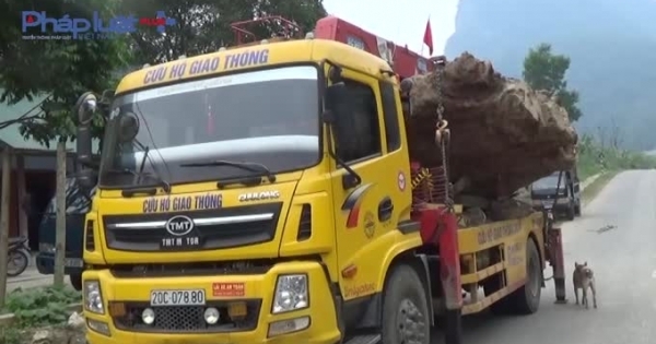 Vụ gỗ Gù Hương "khủng" tại Bắc Kạn: Cơ quan CSĐT vào cuộc