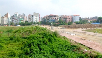 Hà Nội: Duyệt chủ trương đầu tư Xây dựng hạ tầng khu đấu giá quyền sử dụng đất tại huyện Đan Phượng