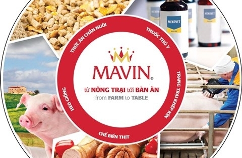 Mavin cam kết đồng hành cùng Thực phẩm sạch
