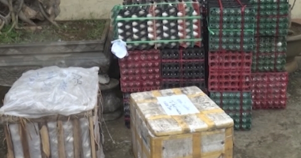 Sơn La: Thu giữ gần 10.000 quả trứng không rõ nguồn gốc