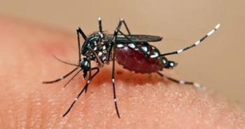 Những "ngỡ ngàng" về dịch bệnh Zika đối với thai phụ