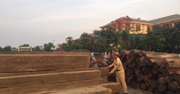 Bắt xe tải vận chuyển trái phép hơn 30m2 gỗ quý hiếm