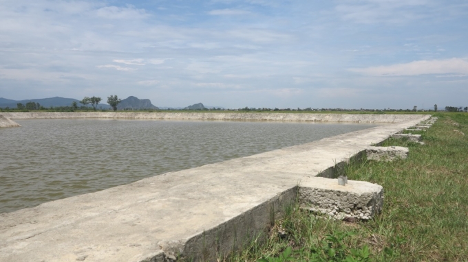 Hồ nước cạnh trụ sở UBND x&atilde; Diễn Quảng nơi 3 học sinh bị đuối nước.