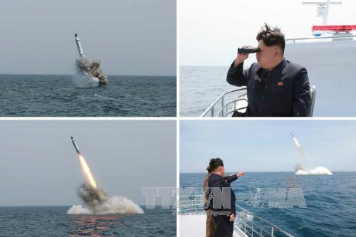 Nh&agrave; l&atilde;nh đạo Triều Ti&ecirc;n Kim Jong-un quan s&aacute;t một vụ thử t&ecirc;n lửa đạn đạo từ t&agrave;u ngầm ở gần Sinpo, v&ugrave;ng bờ biển ph&iacute;a đ&ocirc;ng bắc Triều Ti&ecirc;n ng&agrave;y 9/5/2015. (Ảnh: EPA/TTXVN)