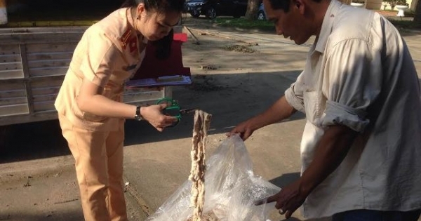 Thanh Hóa: Bắt giữ 1,6 tấn nội tạng động vật hôi thối