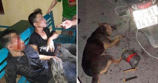 Hải Phòng: Nghi phạm trộm chó giả chết để né trận đòn sinh tử