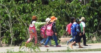 Học sinh đồng bào dân tộc thiểu số bỏ học đi làm đang gia tăng ở Đắk Lắk