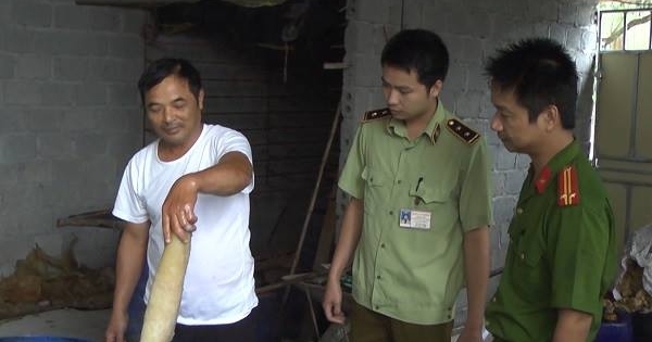 Hưng Yên: Phát hiện cơ sở dùng hóa chất tẩy rửa bì lợn trước khi đem tiêu thụ