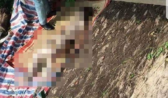 Hưng Yên: Nghi vấn người đàn ông tử vong, trôi trên mặt nước bị mất một phần thi thể