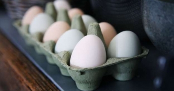 Người mắc đái tháo đường có thể ăn 12 quả trứng một tuần