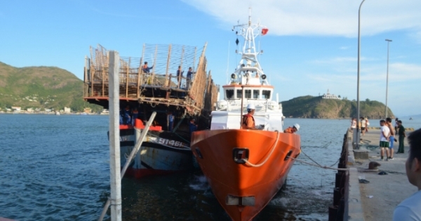 Cứu nạn 49 thuyền viên tàu cá Quảng Nam trôi dạt trên vùng biển quần đảo Hoàng Sa