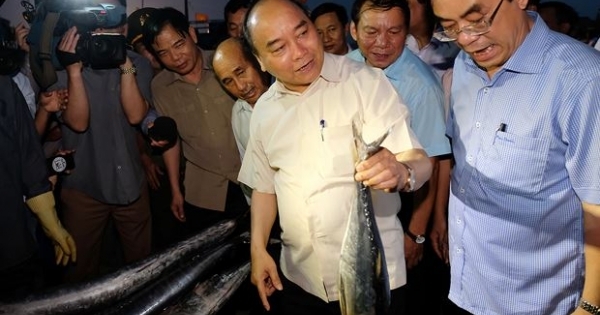 Chia vui với ngư dân miền Trung, Thủ tướng mua 10kg cá 