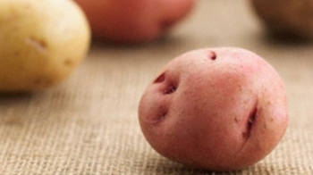 Cô gái nhét khoai tây vào “phần kín” để... tránh thai