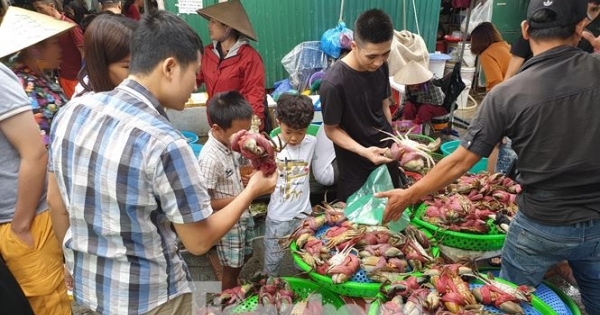 Ngày cuối kỳ nghỉ, du khách đổ xô về chợ Hạ Long mua hải sản