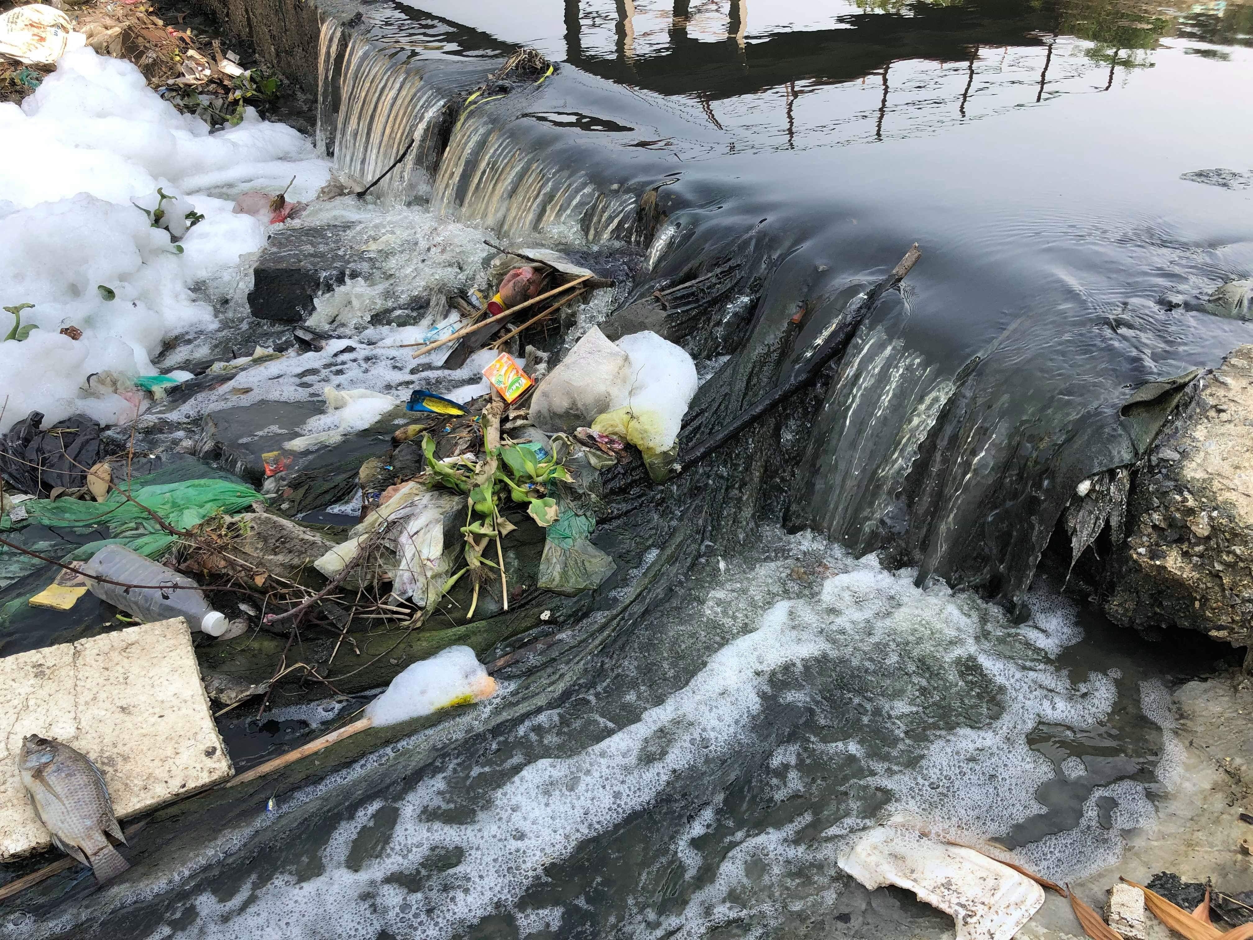 Cá chết, rác thải lại nổi đầy các kênh nước ở Đà Nẵng - 1
