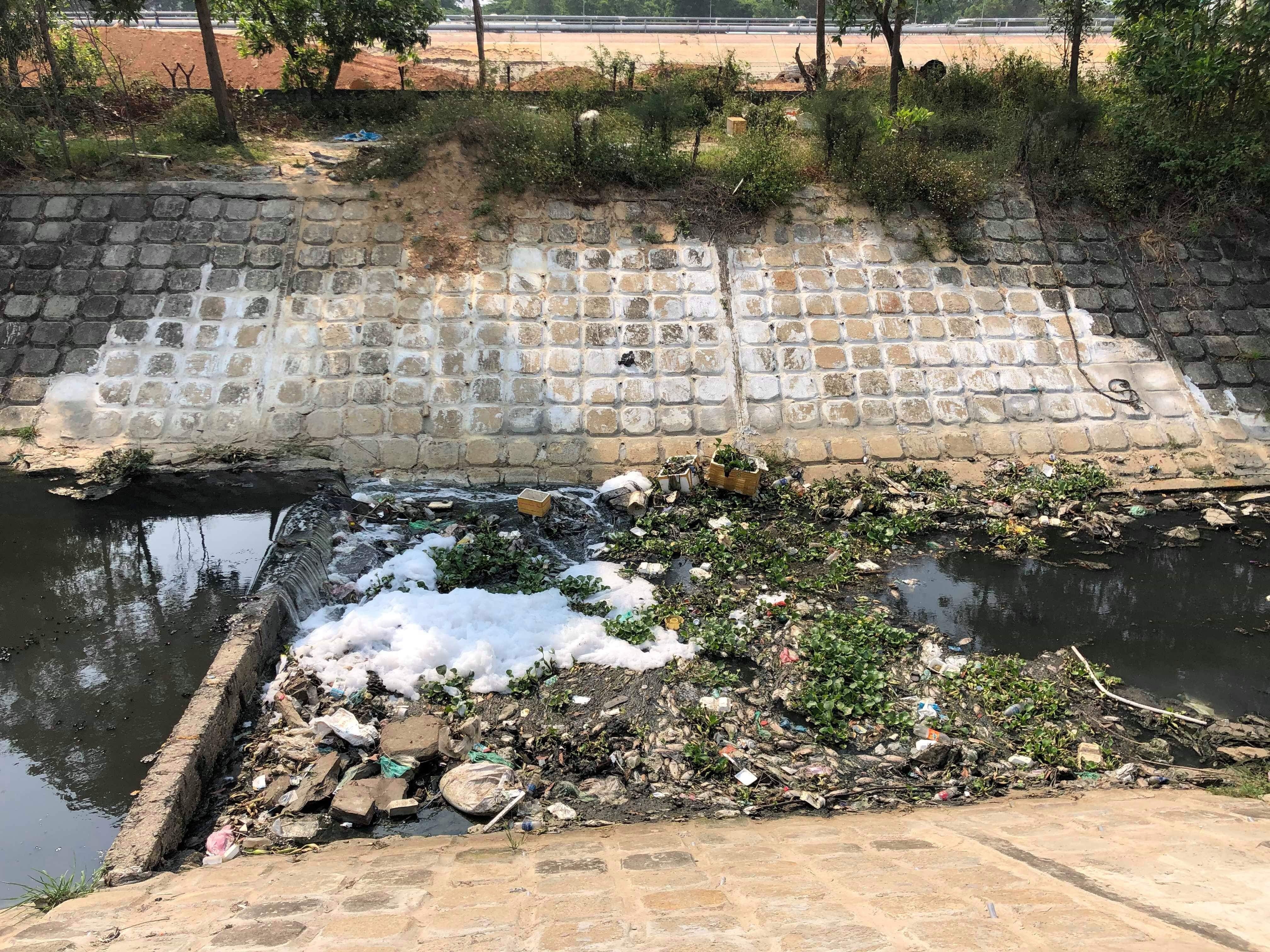 Cá chết, rác thải lại nổi đầy các kênh nước ở Đà Nẵng - 3