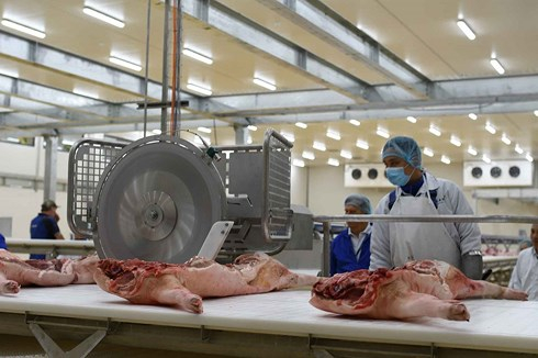 Masan ngừng bán thịt mát do dịch tả lợn Châu Phi gần khu chế biến