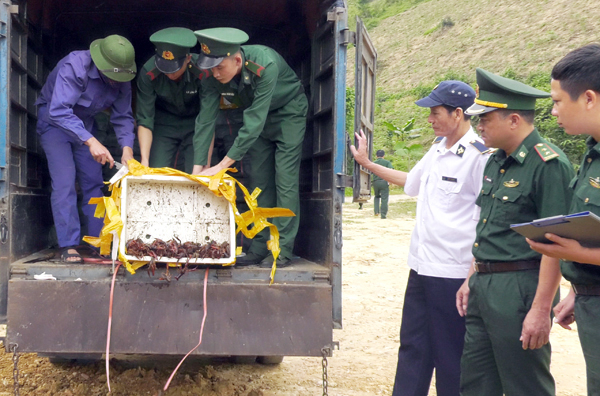 Lực lượng chức năng Lào Cai thu giữ và tiêu hủy thực phẩm không rõ nguồn gốc vận chuyển qua biên giới.