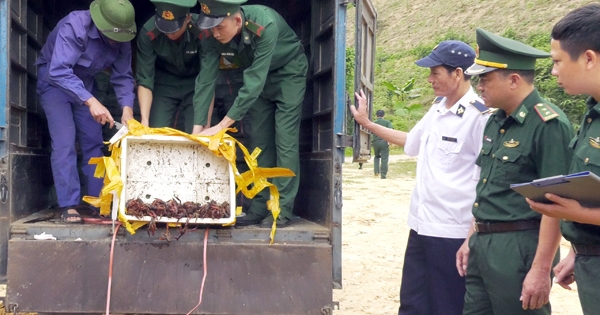 Lào Cai: Tiêu hủy hơn 1 tấn chân gà và tôm không rõ nguồn gốc